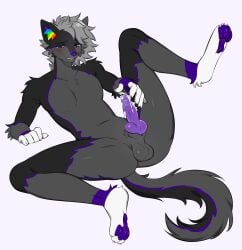 anthro ass blush bodily_fluids canid canine canis cum cum_on_hand ejaculation fingerless_(marking) fruit_(fruit-wolf) genital_fluids genitals grey_body hi_res kandoka looking_pleasured male mammal multicolored_ears pawpads penis presenting presenting_hindquarters presenting_penis purple_nose purple_pawpads purple_penis rainbow_ears solo wolf