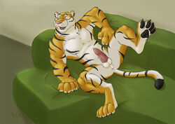 2012 anthro anus balls erection feline fur furry lay0wn male male_only muscles penis solo tiger