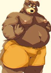 2024 absurd_res anthro arufina_w belly big_belly black_nose bottomwear brown_body canid canine canis clothing domestic_dog hi_res kemono male mammal moobs nipples overweight overweight_male shorts simple_background solo