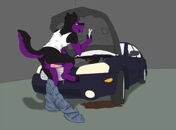 anthro ass canine car clothing cum erection fur furry male male_only mander original_character pants pants_down penis solo wolf