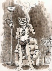 1boy alcohol anthro balls beverage cigar feline furry lamp male male_only plant rayfkm scarf smoke solo