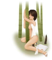 acerbi bamboo bamboo_shoot blush breasts brown_eyes brown_hair female high_heels looking_at_viewer masturbation nipples original outdoors short_hair solo