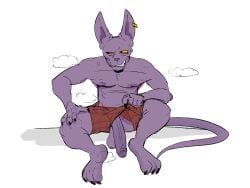 4:3 balls beerus big_penis bodily_fluids bottomwear claws clothing digital_drawing_(artwork) digital_media_(artwork) domestic_cat dragon_ball dragon_ball_super ear_piercing ear_ring felid feline felis foreskin genitals glans hairless hairless_cat hi_res male mammal musk musk_clouds nipples penis piercing purple_body ring_piercing shorts simple_background solo sphynx_(cat) stinkdierr sweat tail white_background