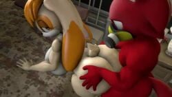 3d ambiguous_penetration anthro anthro_only anthro_penetrated big_ass big_breasts doggy_style furry furry_female furry_male furry_only ironhawk milf no_sound sega sex sonic_(series) tagme vanilla_the_rabbit video