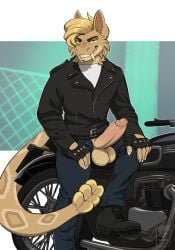 alternative_fashion anthro aroused aroused_face aroused_male aroused_smile balls bedroom_eyes big_balls big_penis biker biker_boots biker_gloves biker_jacket black_boots black_clothing black_fingerless_gloves black_footwear black_gloves black_handwear black_jacket black_leather black_leather_jacket black_topwear blue_bottomwear blue_clothing blue_jeans blue_pants boots bottomwear claws clothing cocky cocky_grin combat_boots delinquent denim denim_bottomwear denim_clothing erection fallout fangs fangs_bared fingerless_gloves flirting flirting_with_viewer footwear fur genitals gloves greaser grin grinning_at_viewer handwear hi_res jacket jeans leather leather_clothing leather_gloves leather_handwear leather_jacket leather_topwear looking_at_viewer male manly markings microsoft motorcycle muscular muscular_anthro muscular_male narrowed_eyes night_stalker_(fallout) pants penis penis_poking_out penis_through_clothing penis_through_fly pose presenting presenting_body presenting_penis rebel seducing_viewer seductive shirt shoes sitting smile smiling_at_viewer solo spots spotted_body spotted_fur spotted_markings spotted_tail tail tail_markings teeth topwear unzipped unzipped_clothing unzipped_pants vallhound vehicle white_clothing white_shirt white_topwear yellow_body yellow_eyes yellow_fur zipper
