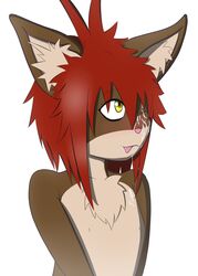 anthro blush brown_fur cum cum_on_face cute eyeliner feline fur furry gay girly hair male mordecai_(petkitten) no_humans petkitten red_hair tongue yellow_eyes