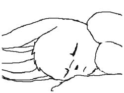 2017 animated autofellatio balls big_balls big_penis bodily_fluids canid cum cum_in_mouth cum_in_own_mouth cum_in_self cum_inside cumshot cumshot_after_pull_out eevee ejaculation erection feral feral_only generation_1_pokemon genital_fluids genitals growth herm huge_balls huge_cock hyper hyper_balls hyper_genitalia hyper_penis intersex jeygisdragus leg_growth limb_growth low_res male_only mammal masturbation nintendo oral oral_masturbation orgasm_face paw_growth penile penile_masturbation penis pokemon pokemon_(species) small_but_hung solo throbbing throbbing_balls throbbing_penis vein veiny_penis