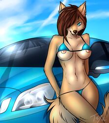 anthro breasts canine car female nude swimsuit toxictoby