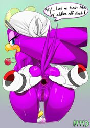 anal avian bird female gaping gaping_anus marthedog panties panties_down pants pants_down pussy sega sonic_(series) sonic_riders spreading topless underwear wave_the_swallow