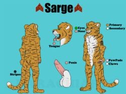 anthro darachi feline male mcandrews model_sheet naughty penis plantigrade sarge stripes tiger