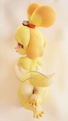 1girls 3d animal_crossing anthro anus back_view barefoot bells blender blenderiffic blush breasts brown_eyes canine crossed_ankles curvy domestic_dog edited female_only floppy_ears fur genitals hairband highres horny in_heat isabelle_(animal_crossing) laying_on_stomach looking_at_viewer mammal nintendo nude nude_female open_mouth paws pussy shih_tzu short_hair solo tail thigh_gap thighs tongue toy_dog wagging_tail yellow_body yellow_fur