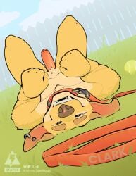 absurd_res anthro ball begging begging_for_sex begging_pose big_penis biped bird_dog bondage canid canine canis clark_(statiik) collar collar_only detailed_background domestic_dog ear_piercing erection exposed_belly fence fencepost floppy_ears foreskin genitals golden_retriever grass hi_res hunting_dog labrador leash leashed_collar looking_at_viewer male male_anthro mammal nude outdoor_background outdoor_nudity outside partially_retracted_foreskin penis petplay piercing plant playful playful_expression playful_face pose presenting presenting_belly presenting_penis pubic_fuzz puppyplay retracted_foreskin retriever roleplay smile smiling_at_viewer spread_legs spreading statiik_(artist) submissive submissive_anthro submissive_male tennis_ball uncircumcised yellow_body