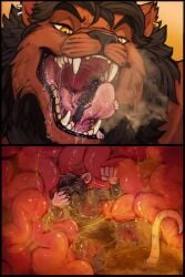 acidic anthro black_body black_fur black_hair blood bodily_fluids brown_body brown_fur cheek_tuft closed_eyes comic digestion disgust drooling duo facial_tuft fangs felid fur hair hi_res imminent_death inside_stomach lion male mammal mouth_shot murid murine nude on_tongue open_mouth oral_vore pantherine pink_tongue rat rodent saliva stomach_acid teeth tongue tuft vore yellow_eyes