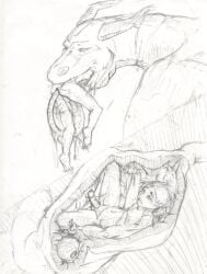 after_anal after_sex after_vore balls belly black_and_white bodily_fluids bone bones_in_stomach death dragon duo erection fatal_vore feral frown genitals graphite_(artwork) hair head_first human human_skull humanoid_genitalia humanoid_penis inside_stomach internal jeri_kleinlowe long_tongue male male/male mammal monochrome mythological_creature mythological_scalie mythology nude nude_pred nude_prey oral_vore partially_inside penis saliva scalie scared simple_background tongue tongue_fucking traditional_media_(artwork) unwilling_prey vore white_background willing_pred