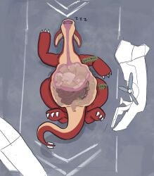 ambiguous_gender box claws container endoscopebrain feral feral_pred hi_res lying object_vore on_back red_body sleeping solo sound_effects vore vowelless vowelless_sound_effect white_claws zzz