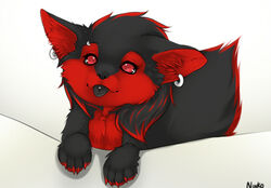 anthro canine cute ear_piercing female fur furry piercing red_eyes zoe_(nnecgrau)