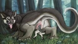 16:9 acidic animal_genitalia animal_penis animal_pussy anthro anthro_on_feral anthro_penetrating anthro_penetrating_feral anus balls bodily_fluids brown_eyes canid canine canine_pussy canine_vulva canis dragon drooling duo erection fangs female female_penetrated feral feral_penetrated fur furred_dragon furred_scalie genitals grass grey_body grey_fur male male/female male_penetrating male_penetrating_female mammal masturbation mythological_creature mythological_scalie mythology narrowed_eyes open_mouth outside penetration penile penile_masturbation pink_tongue plant pussy rock saliva scalie sex silas_zeranous teeth tongue tongue_out tree unbirthing vaginal_penetration vore vulva white_body white_fur widescreen wolf zoophilia