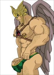 abs animated biceps big_cock big_penis boner carter_hall dc dcau erect_penis erection gif hairy_male hard_on hawkman huge_cock huge_penis male male_only masked mchlsctt709 muscles muscular muscular_male pecs penis_peek pierced_genitals pierced_nipples pierced_penis piercing superhero thick_thighs thong veiny_penis wings