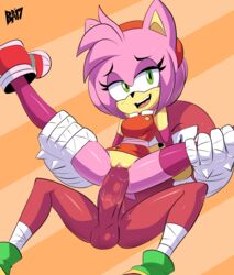 amy rose from sonic (series) by bigdeadalive