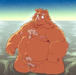 2024 anthro balls belly big_belly brown_body brown_fur detailed_background fur genitals hi_res kemono male male_only mammal micropenis moobs navel night nipples outside overweight overweight_male penis pubes small_penis solo star suid suina suishou0602 sus_(pig) water wild_boar