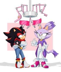 before_and_after blaze_the_cat breasts cat_girl clothed female_only femdom femsub furry genderswap genderswap_(mtf) hedgehog_girl limederg pre-transformation rule_63 shadow_the_hedgehog shoes sonic_(series) sonic_the_hedgehog_(series) transformation