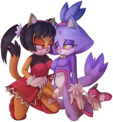 blaze the cat from sonic (series) by saltorii