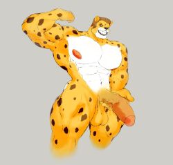 anthro balls bara big_penis boner cheetah cheetahmen erection flexing furry hercules_(cheetahmen) male male_only muscles muscular nude para-p penis solo solo_male