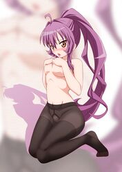 blush breasts covering covering_breasts female highres long_hair no_panties pantyhose purple_hair pussy see-through sheer solo sugiura_ayano tatsuya_(guild_plus) topless uncensored yuru_yuri