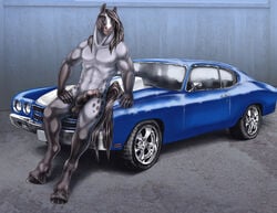 2013 anthro automobile balls black_hair car equine erection hair hooves horse horsecock male male_only muscles nipples nude penis pinup pose sabretoothed_ermine solo tail