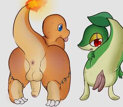 anus ass balls charmander eroborus fire male male_only nintendo penis pokemon pokemon_(species) pokephilia scalie snivy solo tail tail_fire uncut video_games