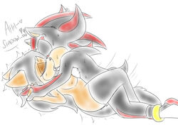 anthro black_hair black_tail brown_fur bubble_kitten17 couple english_text feline fur furry hair hand_holding hedgehog iris_the_cat missionary_position open_mouth original_character passionate sega sex shadow_the_hedgehog sonic_(series) stockings text vaginal_penetration