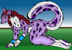 anthro anus aya breasts feline female jewelry kneeling leopard nude plain_background presenting pussy snow_leopard solo valfen