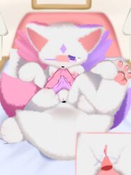 3:4 bed domestic_cat duo felid feline felis female fur furniture hi_res mammal orgasm pink_tail purple_tail pussy shiningcanc tail vaginal_penetration vulva white_body white_fur wings