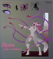 5_fingers anthro arctic_fox breasts canid canine claws finger_claws fingers fox fur futanari genitals grey_body grey_fur hair herm hi_res intersex mammal mansi_(mansilite) mansilite model_sheet multicolored_body multicolored_fur muscular muscular_herm muscular_intersex nipples nude penis pink_hair solo tail tentacle toe_claws tongue tongue_out true_fox two_tone_body two_tone_fur