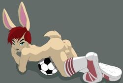 1boy anthro anus ass balls fur furry lagomorph male male_only morhlis penis presenting presenting_hindquarters rabbit soccer solo young