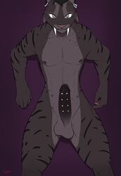 anthro balls black_fur black_penis ear_piercing erection feline frenum_ladder frenum_piercing fur furry genital_piercing humanoid_penis looking_at_viewer male male_only njasey nude penis penis_piercing piercing sabertooth slypon smilodon solo