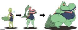 grovyle from nintendo by xanderdwulfe