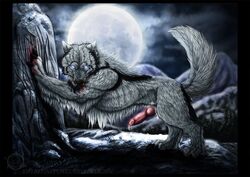 silberfang fan art