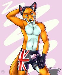 1boy 2013 5_fingers anthro artist_logo black_markings black_nose blue_eyes body_fur boxers canine claws closed_mouth clothing color erection fluffy_tail foreskin foreskin_folds fox front_view furry furry_ears furry_tail hand_behind_head humanoid_penis intact male male_only open_eyes orange_fur orithan partially_retracted_foreskin penis penis_out shorts smooth_penis solo standing tail topless uncut underwear undressing vallhund white_countershading