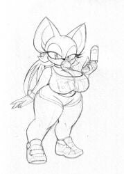 rouge the bat from sonic (series) by omegasunburst
