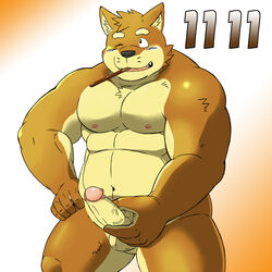 anthro balls biceps blush canine chubby fur furry male male_only masturbation musclegut muscles pecs penis pocky presenting retracted_foreskin shiba-kenta shiba_inu showing_off smile solo uncut vein