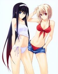 2girls arcueid_brunestud arms_behind artist_request black_hair blonde_hair blue_eyes female front-tie_bikini hand_on_head hand_on_hip melty_blood multiple_girls posing red_eyes short_hair shorts side-tie_bikini smile swimsuit teasing tohno_akiha tsukihime two-tone_hair type-moon unzipped vampire_girl very_long_hair