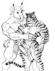 abs anthro balls biceps big_penis bovine cattle feline fur furry grope holding male multiple_males muscles pecs penis plain_background sudonym tagme tiger yaoi