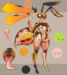 anatomy antennae_(anatomy) anthro arthropod arthropod_abdomen arthropod_abdomen_genitalia arthropod_abdomen_penis arthropod_abdomen_vulva artlegionary big_penis bone cuntboy cuntboy_sans_balls detailed_anatomy erection furry genitals guts herm hermaphrodite hi_res hymenopteran insects internal intersex intestines looking_at_viewer maleherm multi_genitalia organs original_character penis pussy simple_background solo stinger thick_penis thick_thighs third-party_edit unusual_anatomy vulva wasp wide_hips wings x-ray x-ray_view