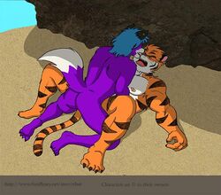 anal anal_sex anthro ass blue_hair canine claws feline fur furry furry_only hair male missionary_position multiple_males muscles nipples no_humans open_mouth penetration presenting presenting_hindquarters purple_fur rthur sex stripes tiger wolf yaoi