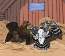 avian bird cloaca eagle feral golden_eagle harpy_eagle male pinup ritchie sawyer_(ferobird) talons uppmap123 vent wings