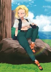 android_18 dragon_ball dragon_ball_z female flytrapxx tagme