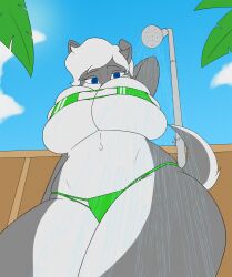 2010s 2018 2d anthro background big_breasts bikini blue_eyes blue_sky canine colored commission commission_art commissioner_upload creatiffy curvy digital_drawing_(artwork) digital_media_(artwork) dog_ears dog_girl ear ears_down eyebrows eyelashes eyepatch_bikini female flat_colors furry girl green_bikini grey_body grey_fur grey_hair hi_res huge_breasts karla_(sparrow26657) looking_at_viewer low-angle_view oc original palm_tree png short_hair short_tail shower shower_(place) showing skimpy skimpy_clothes sky two_tone_body two_tone_fur underboob voluptuous voluptuous_female white_body white_fur white_sclera wide_hips