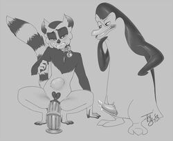 2013 abdominal_bulge anal anal_masturbation anal_penetration animal_genitalia animal_penis anthro anus bulge collar cuntboy dildo dreamworks duo erection furry furry_only genderswap intersex king_julien kowalski lemur madagascar_(series) male masturbation monochrome nickelodeon penguin penis precum pussy saliva sex_toy the_penguins_of_madagascar tsuyagami