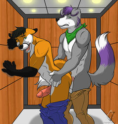 abs aj_the_canaan_fox anal anthro bandana barkley border_collie canine clothing elevator flip fox fur furry furry_only gay male muscles no_humans nude pants penis sex topless